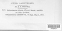 Image Associated With the Occurence